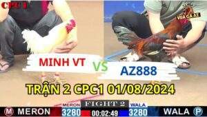 Trận 2 CPC3 01/08/2024 A Minh VT 3280g vs AZ888 3280g Đồng Xổ 30 điều xanh az888 đá mấy chân hạ đẹp gà bướm a minh
