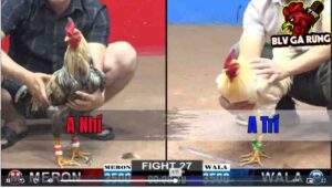 Trận 27 CPC1 20/12/2024 – Chuối Canh Chặn Đá Cây Hiểm Ngay Lưng Úa Té