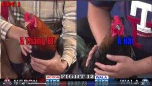 Trận 12 CPC1 18012025 - Anh Thắng Bến Tre Đụng Anh Hải