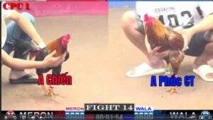 Trận 14 CPC1 06/01/2025 - A Chiến Đụng Độ Phúc Cần Thơ Tại CPC1