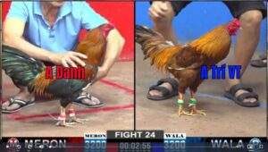 Trận 24 CPC2 17012025 - Anh Danh Đụng Anh Trí VT