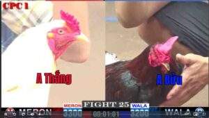 Trận 25 CPC1 07012025 - Trận Đấu Có Kết Qủa Hiểu Nhầm Cho Các Anh Em Hôm Nay