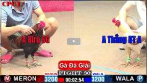 Trận 30 CPC1 18/01/2025 - Trận Tranh Hạng Nhì Qúa Hấp Dẫn Của Anh Thắng Bến Tre