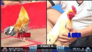 Trận 4 CPC2 10/01/2025 - Trận Đấu Anh Lành Đụng Anh Quẹo