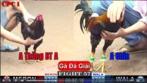 Trận 57 CPC1 16012025 - A Thắng Bến Tre A Đụng A Chín