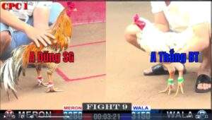 Trận 9 CPC1 18012025 - Anh Dũng Sài Gòn Đụng Anh Thắng Bến Tre