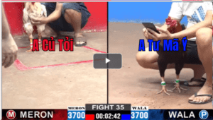 Trận 35 CPC2 28/02/2025 - Anh Củ Tỏi Tiếp Tục Bị Phản 1 Lai Qúa Đau Đớn