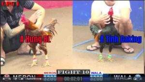 Trận 10 CPC1 1322025 - Anh Tính Gaking Hạ Đẹp Anh Hưng Bảo Lộc