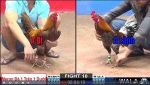 Trận 10 CPC2 922025 - Anh Lành Thất Thủ Trước Anh Bi