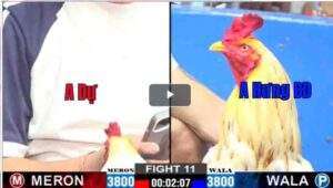 Trận 11 CPC2 23/02/2025 - Anh Dự Chiến Thắng Nhọc Nhằn Trước Anh Hưng Bình Dương