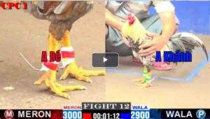 Trận 12 CPC1 18/02/2025 - Anh Khánh Đồng Nai Xuất Sắc Hạ Anh Bé Bến Tre