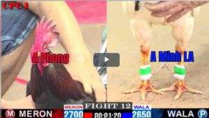 Trận 12 CPC1 24/02/2025 - Anh Minh Long An Tiếp Tục Có Chiến Thắng Đẳng Cấp