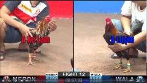 Trận 12 CPC2 1422025 - Anh Xe Lam Đối Đầu Anh Lượm