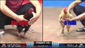 Trận 13 CPC2 722025 - Anh Bảo Sting Phục Thù Anh Tuấn