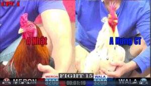 Trận 15 CPC1 1022025 - Anh Nhật Hạ Đẹp Anh Hưng Cần Thơ