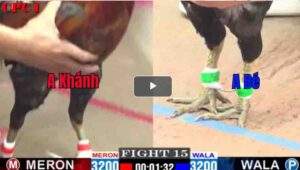 Trận 15 CPC1 18/02/2025 - Anh Khánh Đồng Nai Phục Thù Anh Bé Thành Công