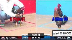 Trận 15 CPC3 1422025 - Trận Đấu Lịch Sử 1 vs 2 Kết Quả Bất Ngờ