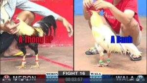 Trận 16 CPC2 922025 - Anh Thông Bình Phước Đụng Anh Danh