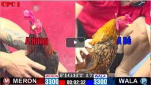 Trận 17 CPC1 20/02/2025 - Anh Bé Hạ Anh Hưng Trong vòng Ba Nốt Nhạc