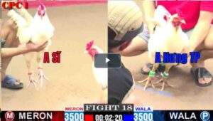 Trận 18 CPC1 17/02/2025 - Anh Thầy Ra Quân Thắng Nhẹ Nhàng