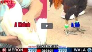 Trận 18 CPC1 18/02/2025 - Anh Khánh Tiếp Tục Gieo Sầu Cho Anh Bé