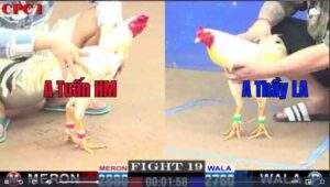 Trận 19 CPC1 1522025 - Anh Tuấn Hóc Môn Thất Bại Trước Anh Thầy Long An