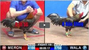 Trận 19 CPC2 26/2025 - Bảo Sting Nhẹ Hơn 4 Chấm Vẫn Hạ Đối Thủ Nhẹ Nhàng