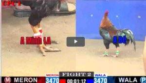 Trận 2 CPC1 25/02/2025 - Má Minh Ra Quân Thất Thủ Trước Anh Bé