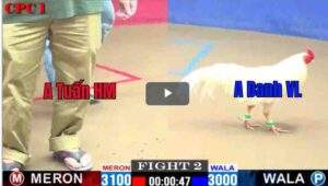 Trận 2 CPC1 27/02/2025 - Gà Uá Hiệu Anh Danh Ra Quân Lật Kèo Ngoạn MụcTrận 2 CPC1 27/02/2025 - Gà Uá Hiệu Anh Danh Ra Quân Lật Kèo Ngoạn Mục