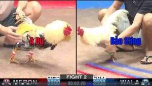 Trận 2 CPC2 722025 - Anh Bảo Sting Hạ Đẹp A Dự Trận Đầu Tiên Của Năm