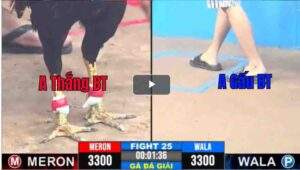 Trận 25 CPC3 26/02/2025 - Trận Đấu Gây Tranh Cãi Nhất Hôm Nay Tại CPC3Trận 25 CPC3 26/02/2025 - Trận Đấu Gây Tranh Cãi Nhất Hôm Nay Tại CPC3