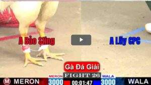 Trận 26 CPC1 22/02/2025 - Bảo Sting Kết Thúc Chú Lũy Sau 1 Chân