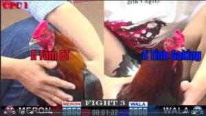 Trận 3 CPC1 1322025 - Anh Tính Gaking Hạ Đẹp Anh Tâm Bến Tre