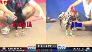 Trận 3 CPC1 1522025 - Anh Thầy Long An Hạ Đẹp Anh Ton