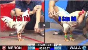 Trận 31 CPC2 28/02/2025 - Anh Củ Tỏi Ra Quân Bị Đá Phản Đầy Bất Ngờ