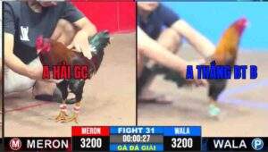 Trận 31 CPC3 06022025 - Trận Ra Quân Thắng Nhẹ Nhàng Của Thắng Bến Tre B