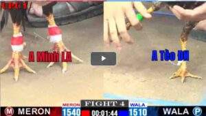 Trận 4 CPC1 24/02/2025 - Anh Minh Long An Ra Quân Thắng Dễ Dàng