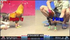 Trận 42 CPC1 822025 - Anh Duyên Ti Đại Chiến Anh Hưng Bến Lức