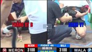 Trận 46 CPC3 06022025 - Trận Đấu Mang Về Chức Vô Địch Của A Thắng Bến Tre