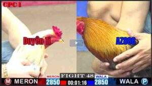 Trận 48 CPC1 08/02/2025 - Duyên Ti Xuất Sắc Hạ Cọp AZ888 Hôm Nay