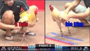 Trận 5 CPC2 722025 - Anh Tuấn Đụng Độ Anh Bảo Sting