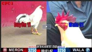 Trận 52 CPC1 08/02/2025 - Duyên Ti Nhận Thất Bại Đầu Tiên Hôm Nay