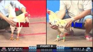 Trận 9 CPC2 1222025 - Anh Phát Thất Thủ Trước Anh Danh