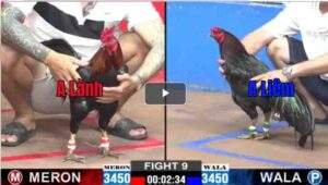 Trận 9 CPC2 23/02/2025 - Anh Lành Vũng Tàu Hạ Đẹp Đối Thủ Sau Mấy Đá