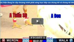 Trận 1 CPC1 11/03/2025 - Trận Ra Quân Thắng Nhẹ Nhàng Của Anh Tính Gà King