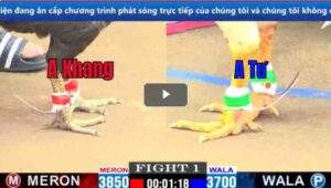 Trận 1 CPC1 15/03/2025 - Cánh Gà Duyên Ti Ra Quân Thất Thủ Khi Gặp Cọp