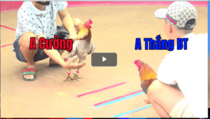 Trận 1 CPC1 18/02/2025 - Anh Thắng Bến Tre Ra Quân Có Chiến Thắng Nhẹ Nhàng