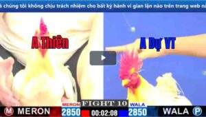 Trận 10 CPC1 15/03/2025 - Trận Lội Ngược Dòng Ngoạn Mục Của Anh Dự Vũng Tàu