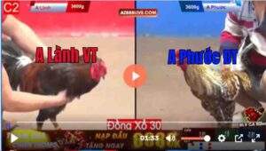 Trận 10 CPC2 09/03/2025 - Qúa Hấp Dẫn Khi 2 Con Cọp Gặp Nhau