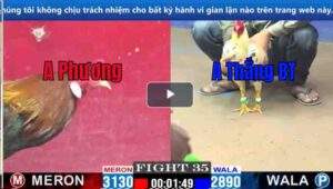 Trận 11 CPC1 07/03/2025 - Anh Thắng Bến Tre Ra Quân Có Chiến Thắng Ngoạn Mục